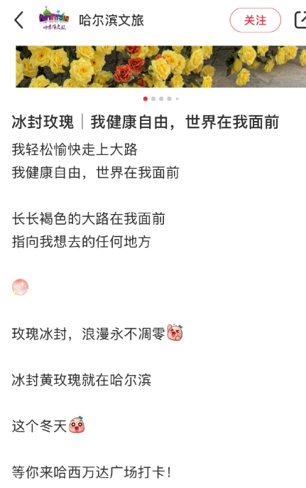 哈尔滨文旅，引用了2024年高口碑爆款电视剧《玫瑰的故事》里结尾黄亦玫的一段经典