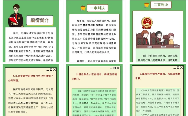 福建厦门，某小区因树木挡道，业主委员会决定请来工人将小区内的十几棵高山榕，进行砍