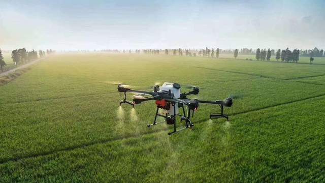 2025年全球科技创新趋势：人工智能与可持续发展引领未来