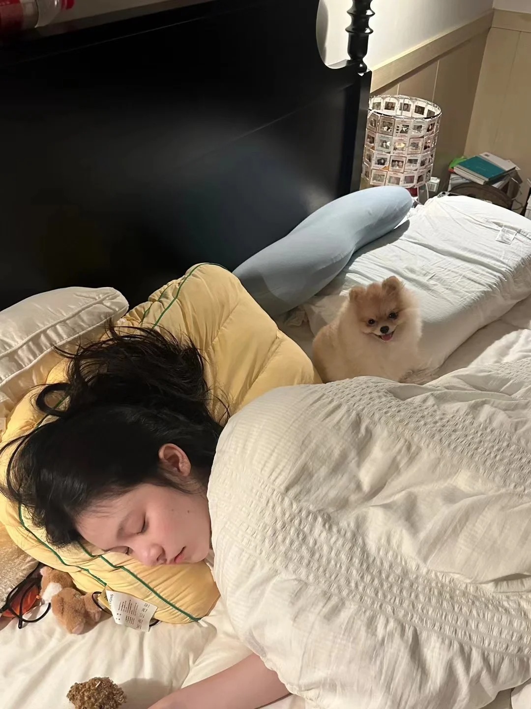 世界上睡觉照片最多的女人
随地大小睡