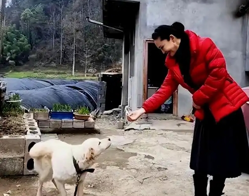 现年57岁的于文华，村落小院长裙拖地，笑容恬淡，低头喂着家里的小“土”狗...