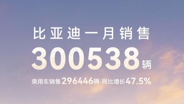 比亚迪·中国销售冠军