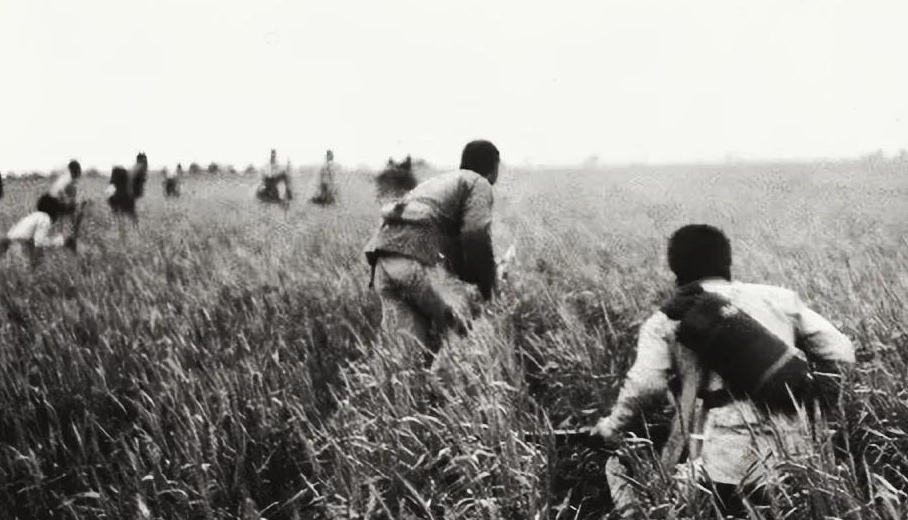 抗战中，一货郎来到龙岗村，逮住一小孩就问：咱村有没有八路军？小孩懵懂无知：有七八