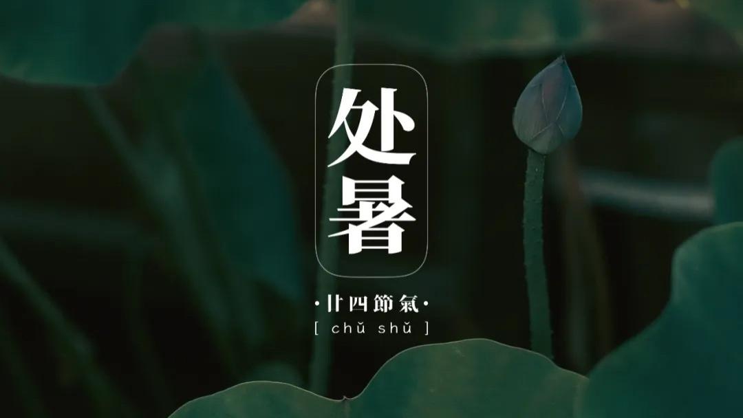 处暑 | 走过清醒的梦，去见命里的风。