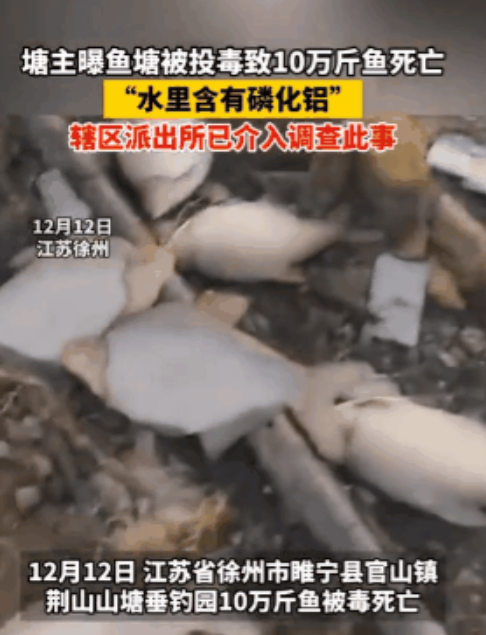 “太坏了！”江苏徐州，男子花100多万元承包了一百亩鱼塘，准备做垂钓园，然而今年