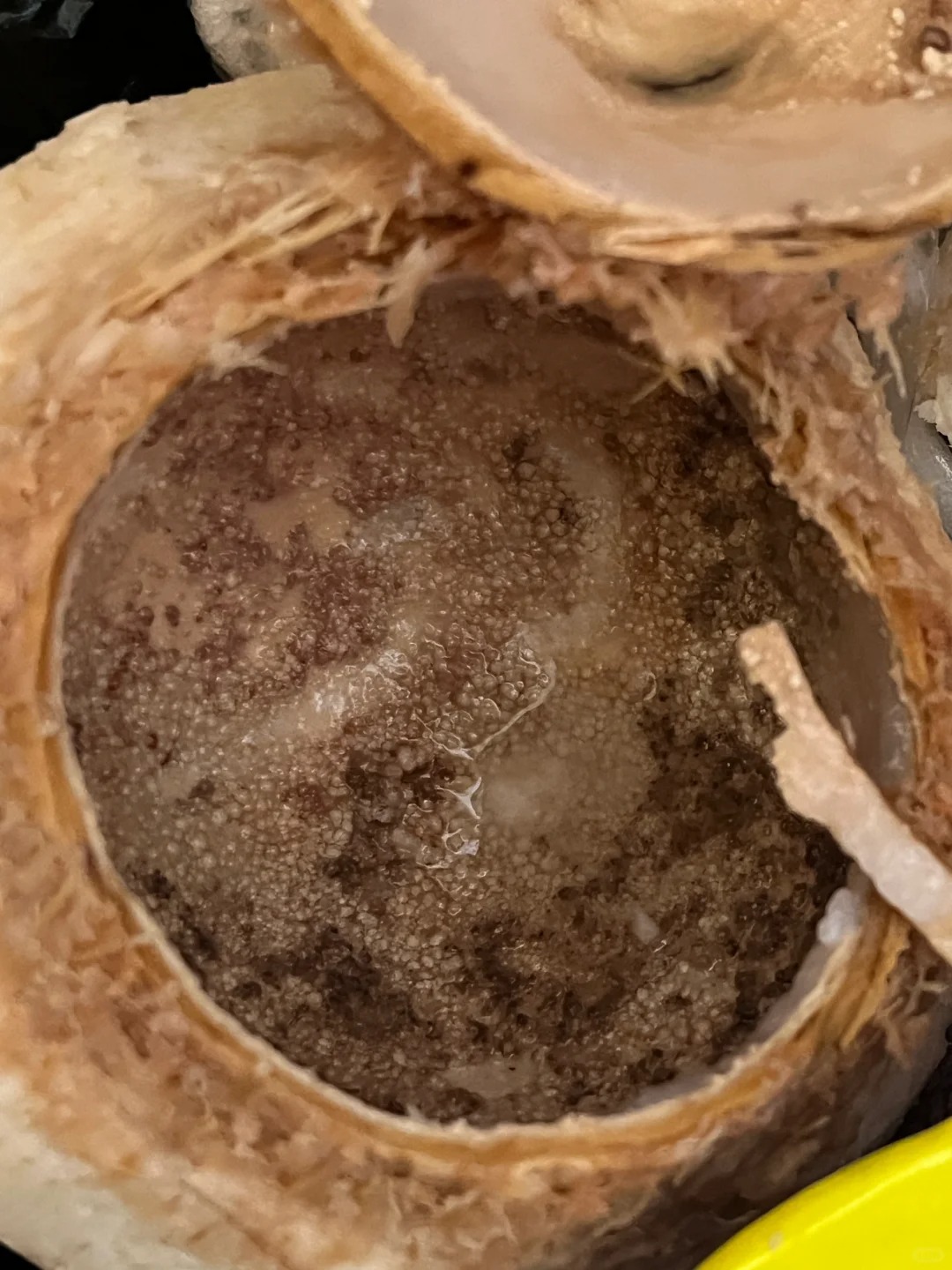 喝了这样的椰子会不会有事啊
家人们 喝了一口这样的椰子 好恶心啊啊啊啊啊啊啊啊啊