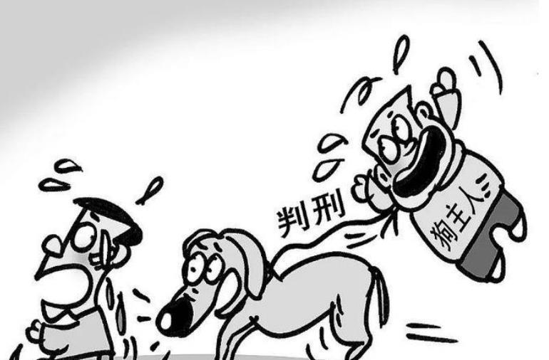 恶犬伤人屡见不鲜，近年来类似的报道已经有过很多次。悲剧一次次上演，那么到底什么原