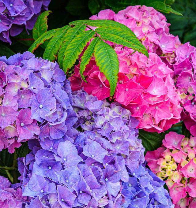 人群为什么要压制你，因为你挑战了人群的权威和兴盛