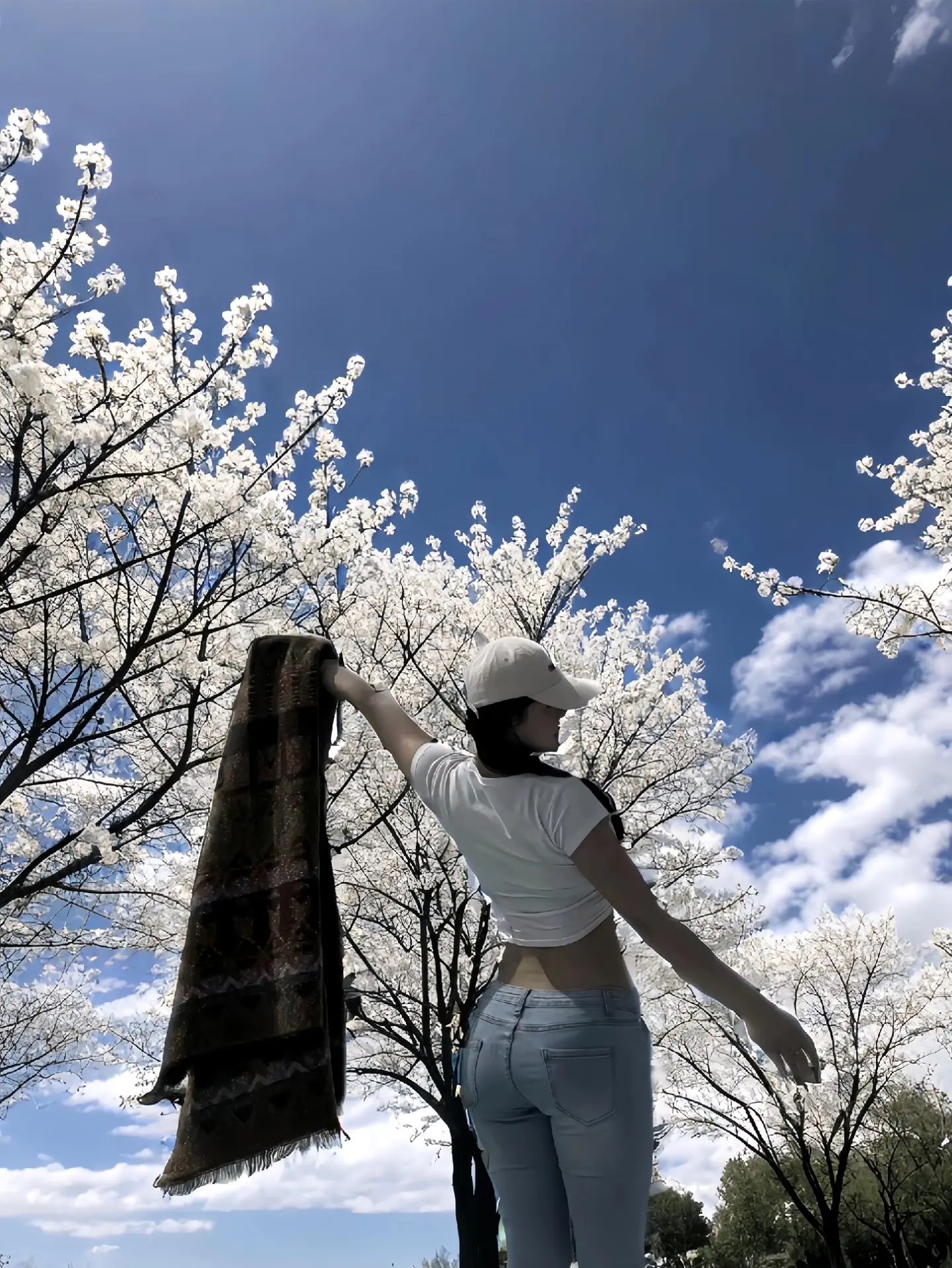 在这樱花树下，我与春天共舞
手挥披肩，我沉醉于樱花烂漫间
蓝天白云下，我在樱花丛