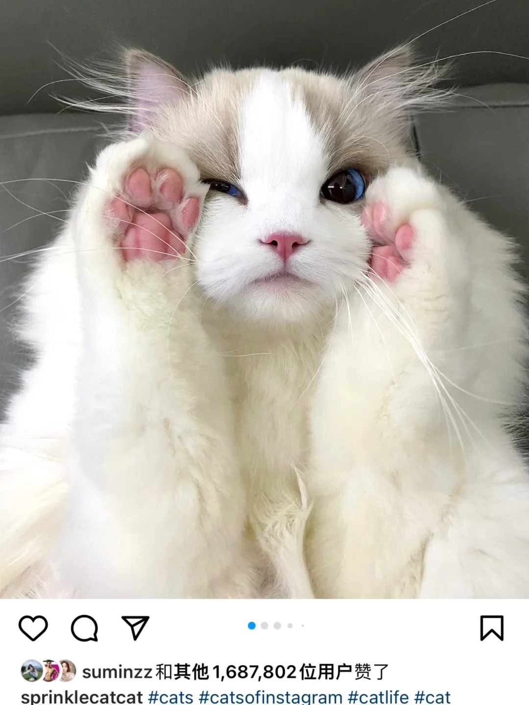 粉丝跟我说奶米🔥到国外了 有好几百万点赞！
居然还有人说咱们是韩国的 虽然可爱