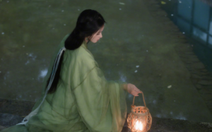 我重生了。  重生在和青梅竹马成婚的第二年，他带回来一个女人，和我很像.......