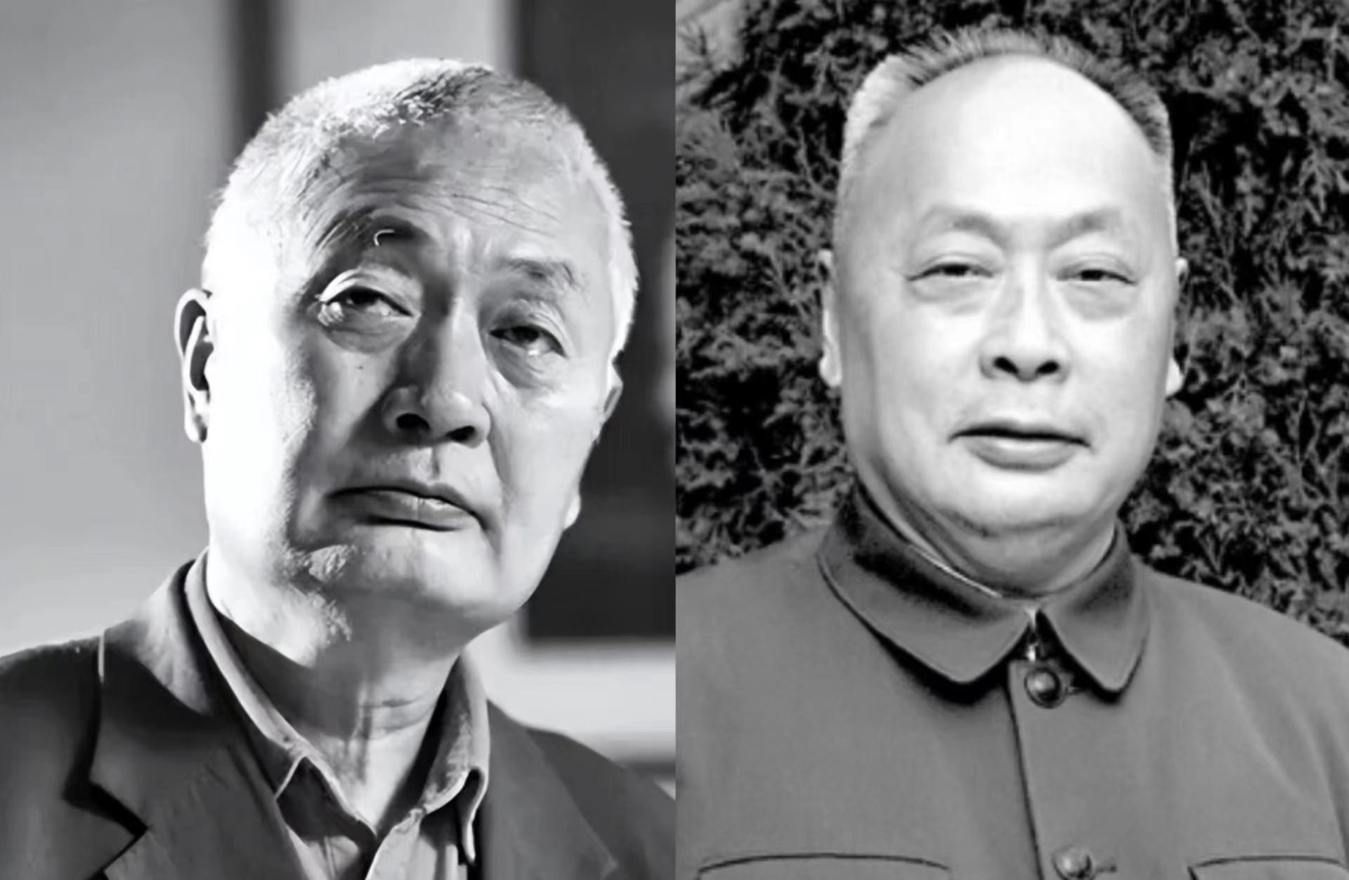 1972年的某一天，陈小鲁急匆匆地赶回家，一进门就得知父亲陈毅元帅病情严重，已经陷入了昏迷