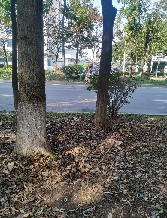今天去散步，认识了几个60多岁的女人。然后我就主动加了她们的微信。回来之后，我跟