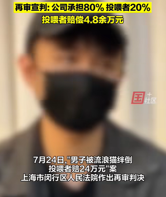 摔一跤赔24万！上海，男子在羽毛球馆打球，结果，期间被流浪猫绊倒，导致10级伤残