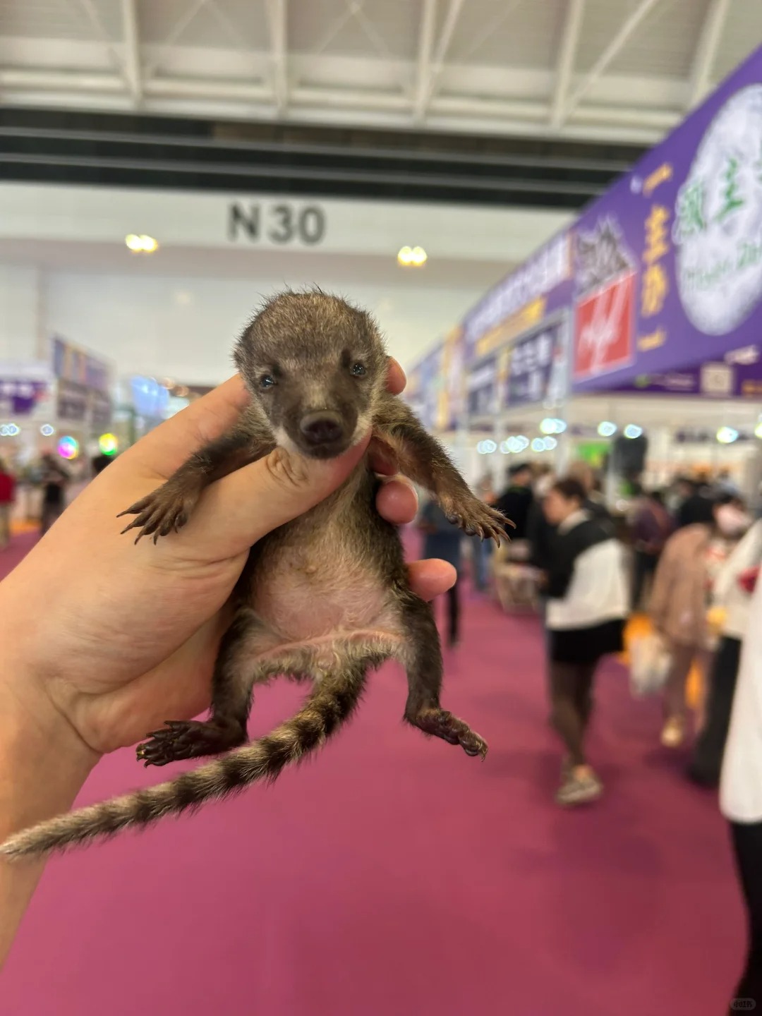 天津宠物展我们来啦