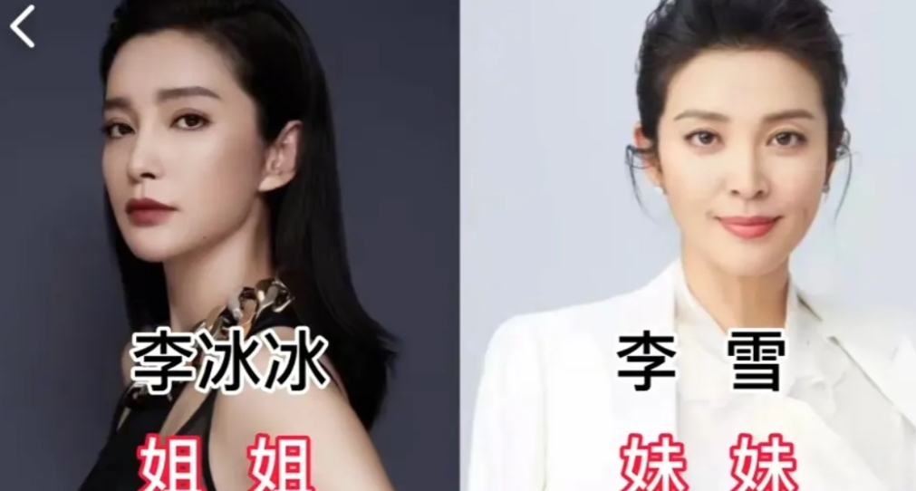 原来是亲姐妹的12对女明星，看看哪对最像？
第1对:李冰冰与李雪
第2对:米雪与
