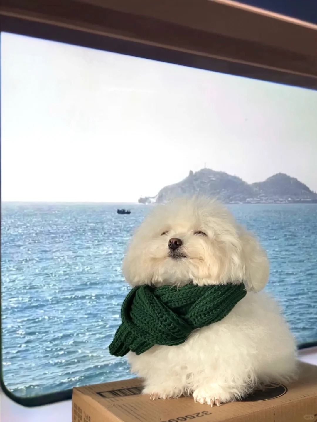 宝宝我看到大海啦
馒头：“麻麻你汁儿道么？我换主人就像换衣服一样简单…”
我：“