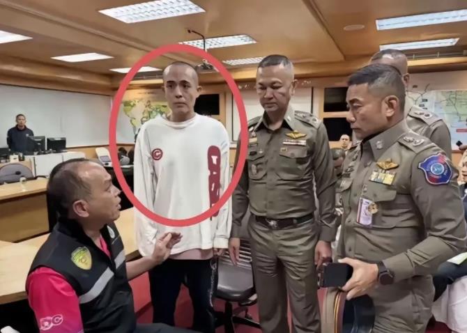 有不少人说
缅北电信诈骗四大家族不是被打掉了，为什么演员王星还能被骗去，然后开始