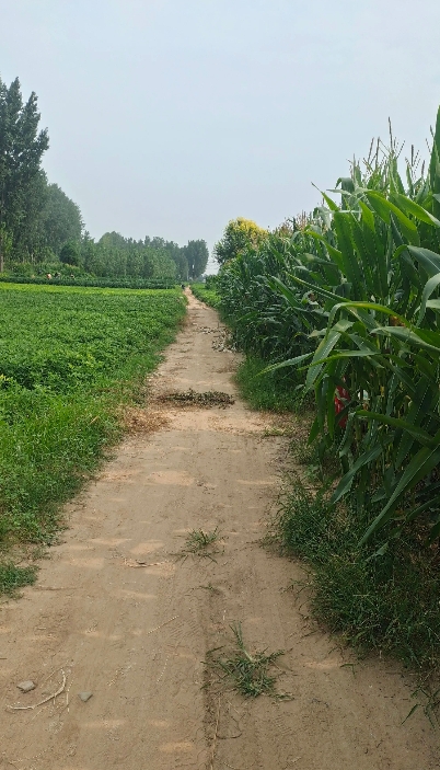 我小叔霸道了半辈子，结果61岁中风，躺在医院里看老伴和儿子的脸色。他一开始天天骂