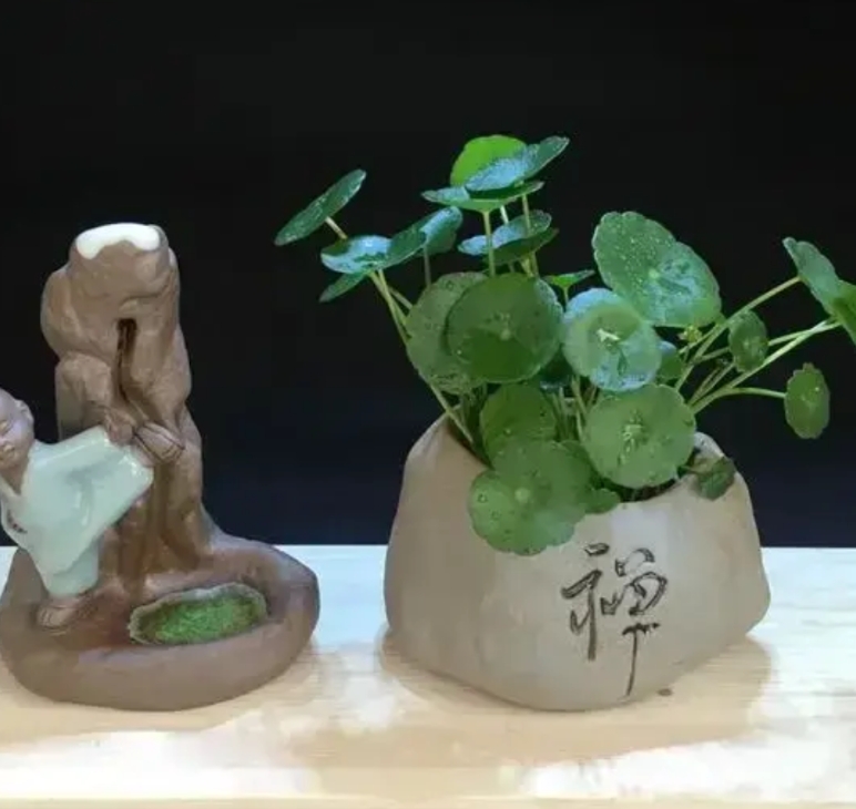 作为25年教龄的老师，我最看不起一种老师。
就是动不动把学生轰到教室外边的老师，