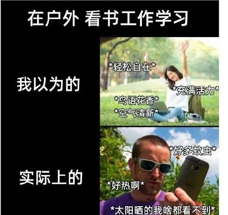 在户外看书工作学习