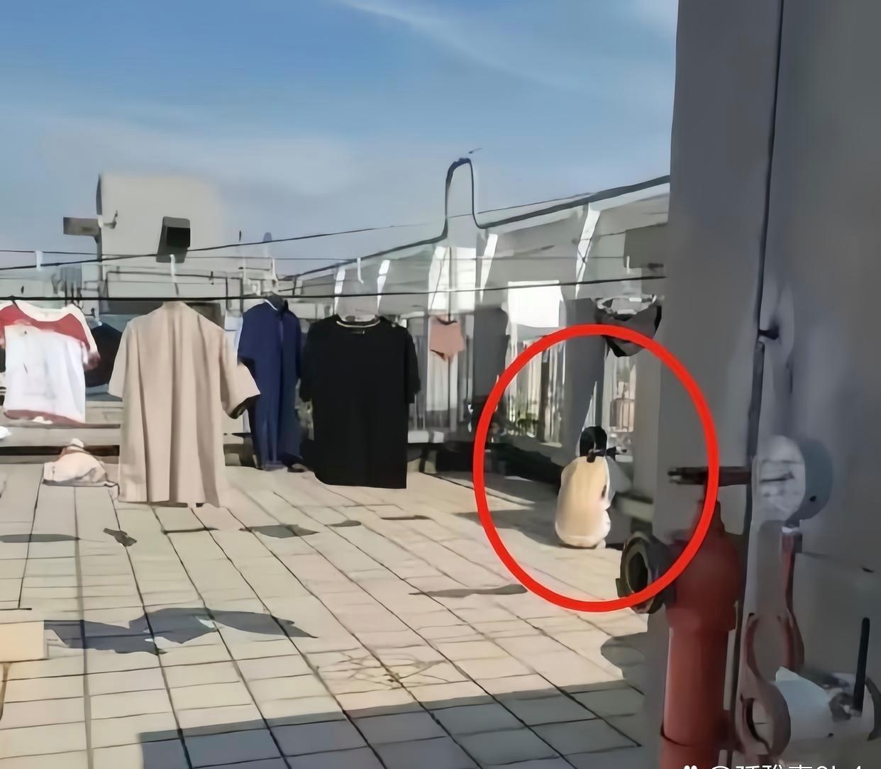 家人们呐，昨天我遭遇了一场超纠结的“楼顶事件”。老婆大人一声令下，让我把洗完的衣