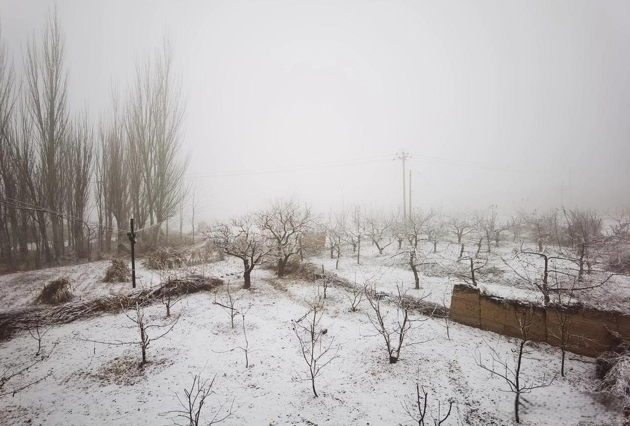 南方人在西北，感受下雪的快乐！
坐标甘肃天水，一早起来，屋外白茫茫一片，纷飞的雪