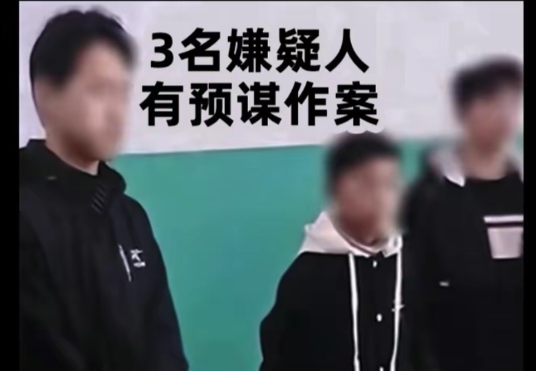 河北邯郸初中生遇害案后续：警方认定有预谋犯罪，律师称尸检显示非活埋
3月10号，