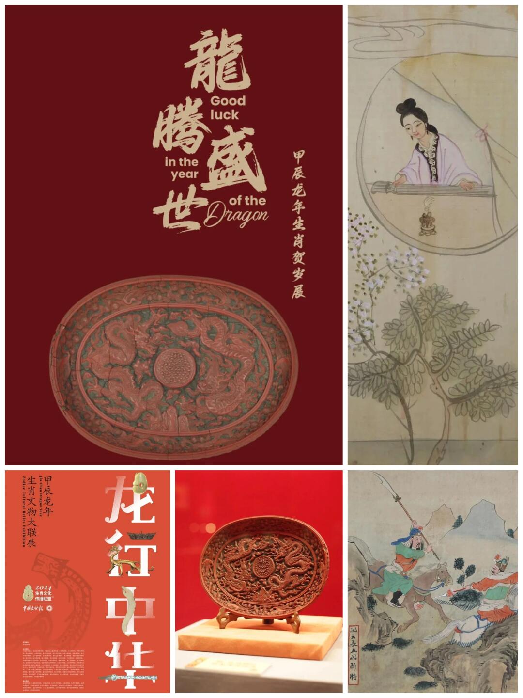 青岛去哪免费看展览⁉️