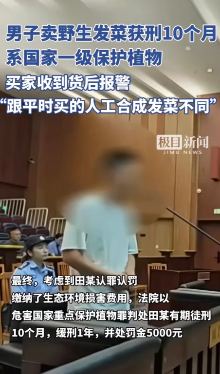江苏南京，男子支付65元购买1两发菜后，因怀疑是野生发菜而报警。民警确认属实后，
