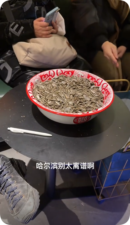 哈尔滨是真的宠着南方的小土豆们啊