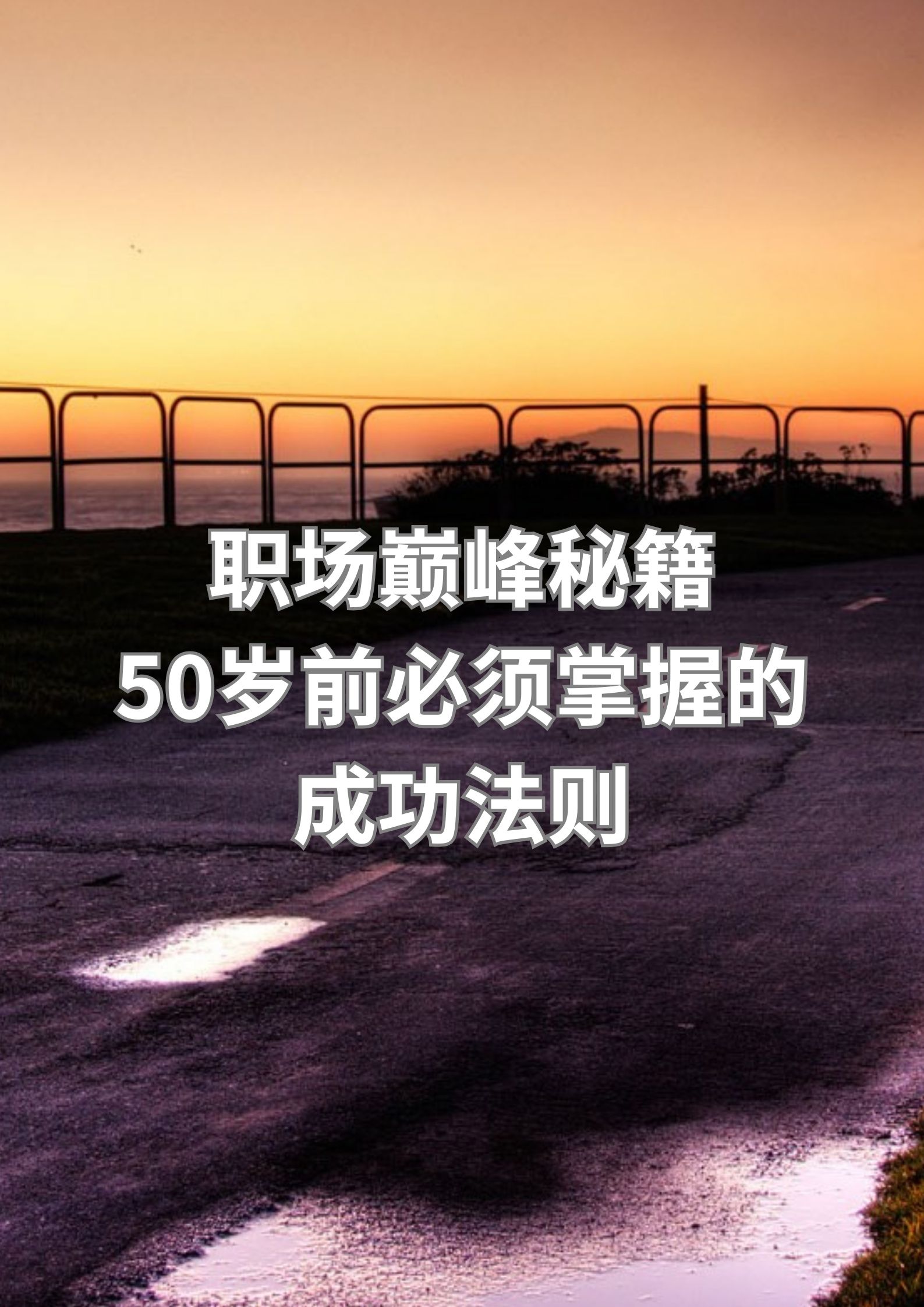 职场巅峰秘籍：50岁前必须掌握的成功法则