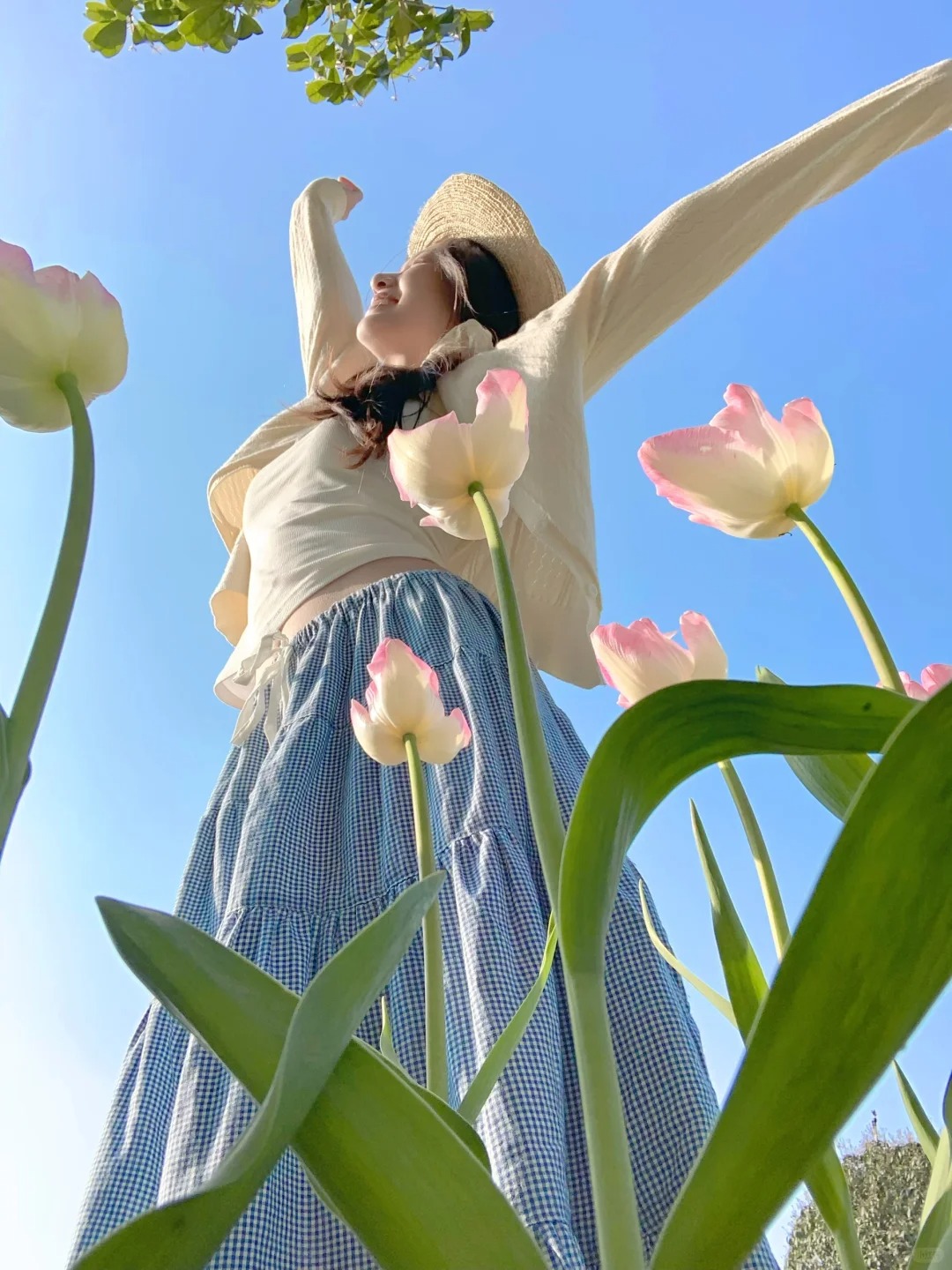 在春天里自由生长 🌷
是向上的生命力 ，郁金香和瑞秋笑容搭配着太春天了！
和@