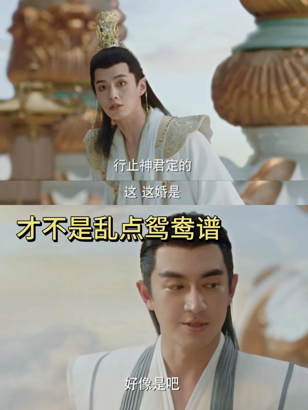 把“心上人”指婚给“花花公子”