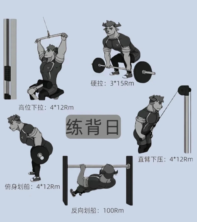 健身人不可错过的全身训练动作