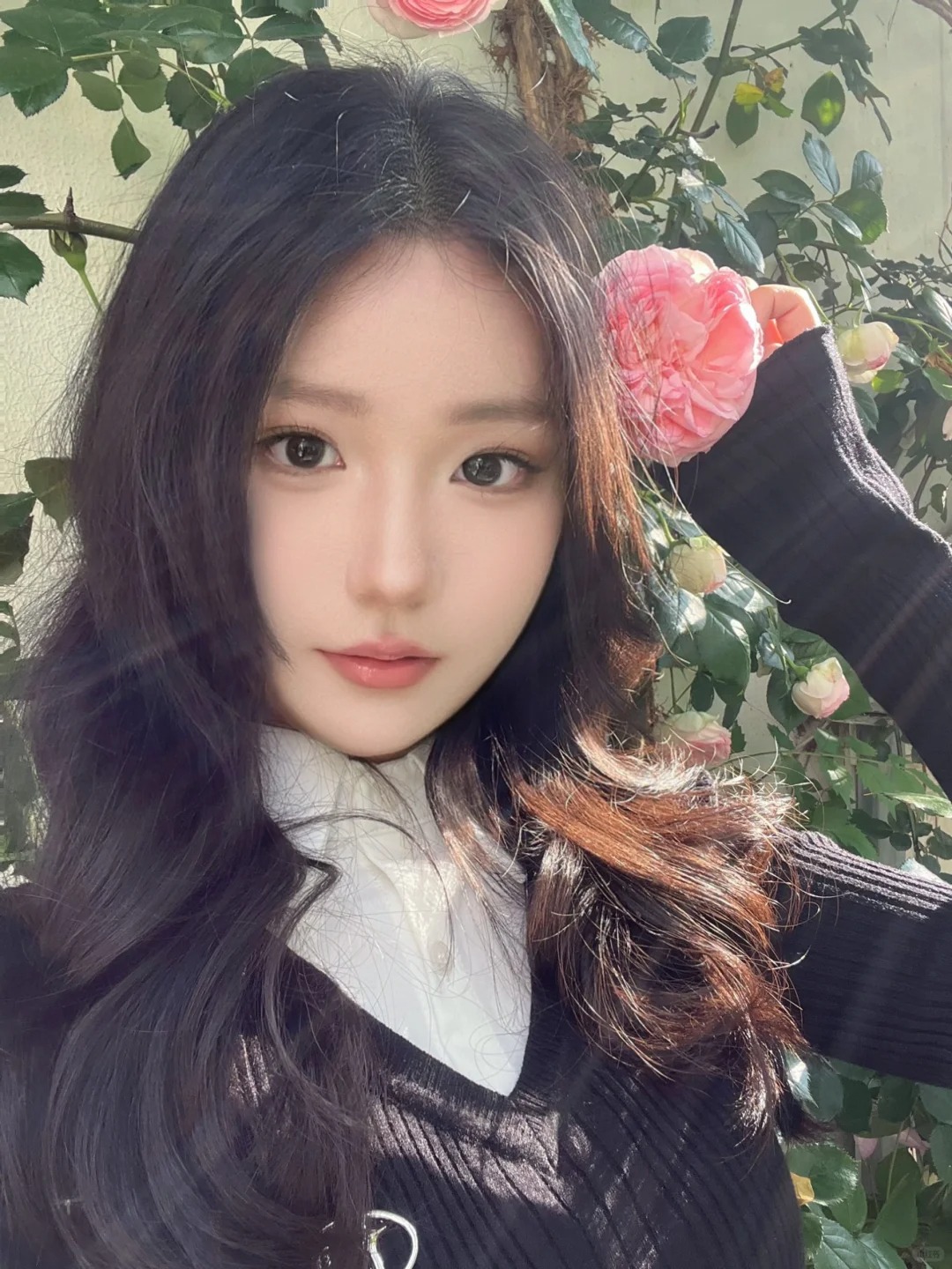 不止玫瑰有爱意