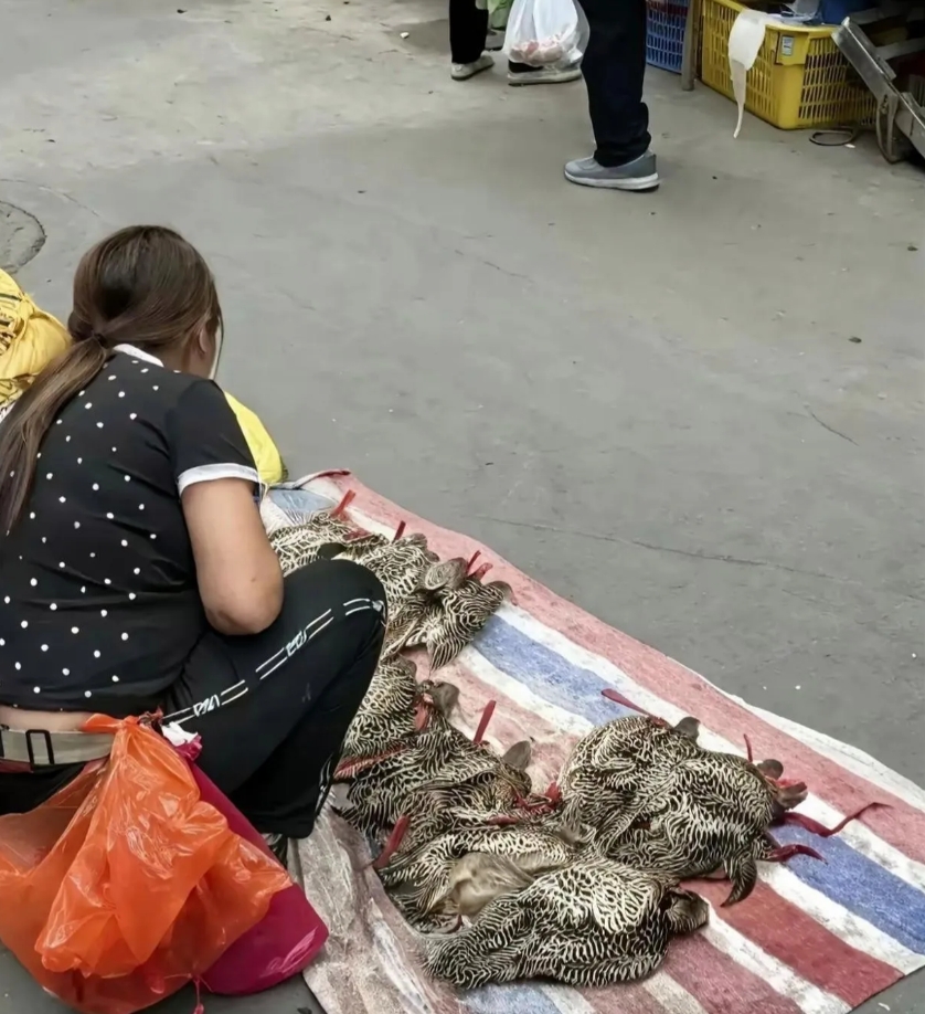 阿姨你心真大，这些都敢卖吗