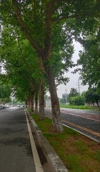 我朋友34岁，手里连1000块钱都没有，因为她老公不让她放钱，一旦发现她手里有钱