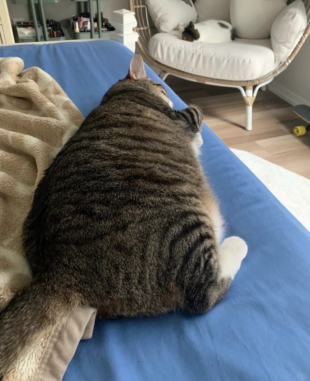 该怎么去形容你最贴切。。