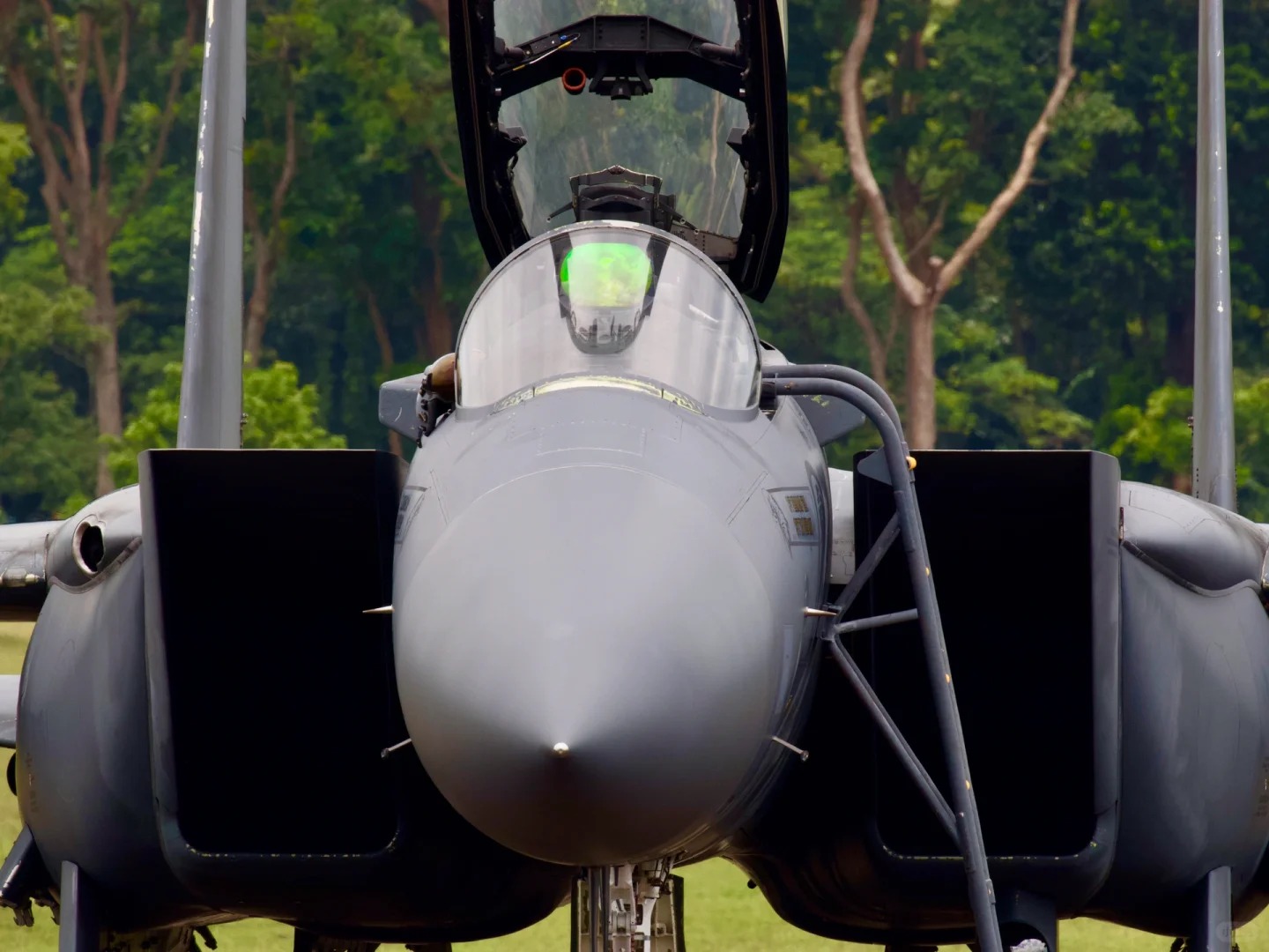 新加坡共和国空军·F-15SG！！！！！！