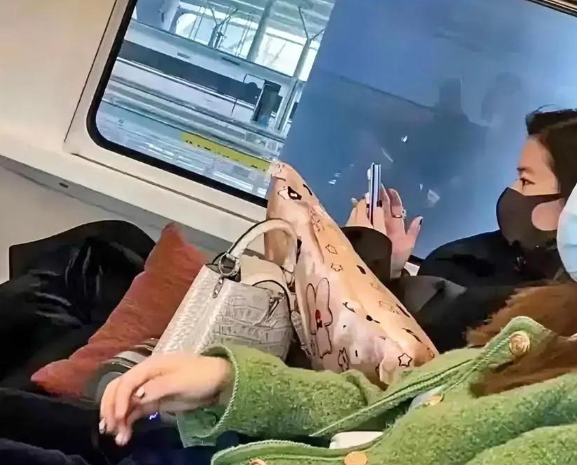 乘高铁时偶遇刘亦菲，弄的我这个大叔小心脏砰砰跳个不停，旁边的哥们儿嘲笑我没见过世