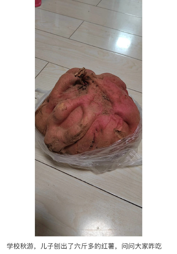 人类的悲欢并不相通