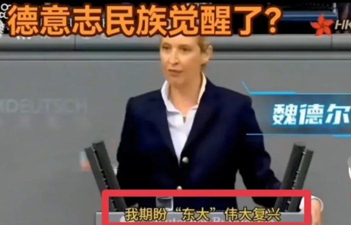 这是我见过西方候选人最敢说的人
魏德尔关键说了四点！
1-德国本届政府无能垃