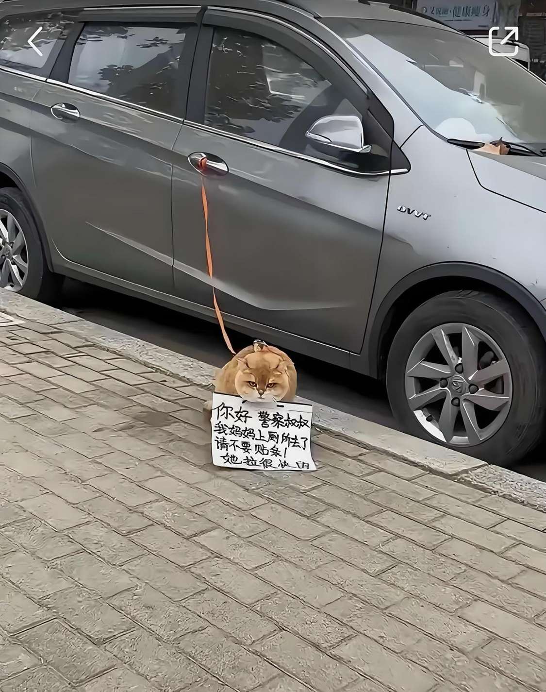 你们猜交警看到之后会不会贴条