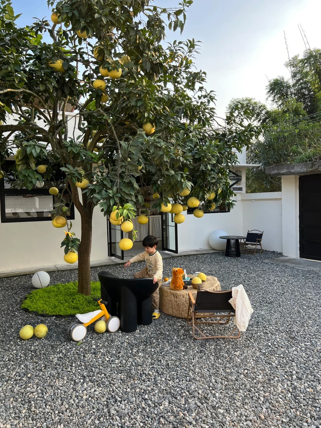 我爱的慢生活｜9张图对梦中情院做个小解答
谢谢友友们对梦中情院的喜爱
整合了一些