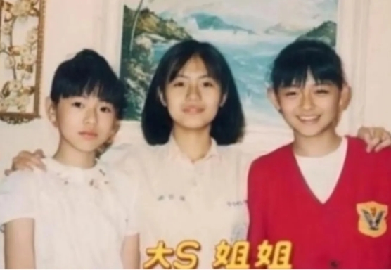 台湾媒体曝s妈为什么发要“开战”的原因了，原来台湾的法律和我们大陆是不一样。
