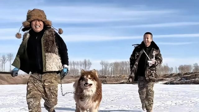 网红犬去世，潘宏评论区已沦陷，狗主人发声，影星陈乔恩发博怒斥