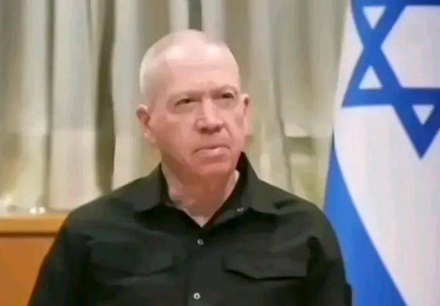 以色列宣布重磅消息！
以色列国防部长加兰特25日宣布，挫败了真主党针对以色列“迫