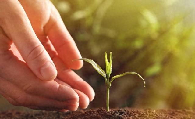 中年人活法：和解、热爱与自我完善