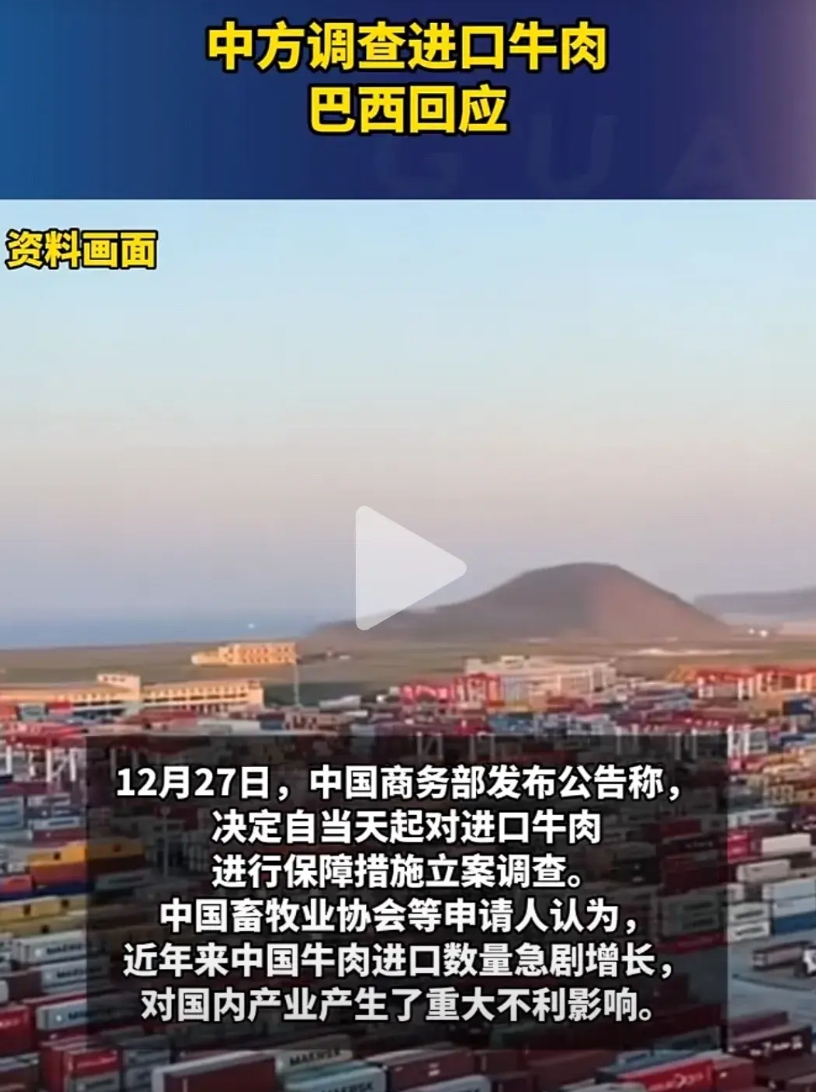 巴西竟然胆敢调查我们的byd公司，还污蔑我们的工人是奴隶，这真是，是可忍，叔不可